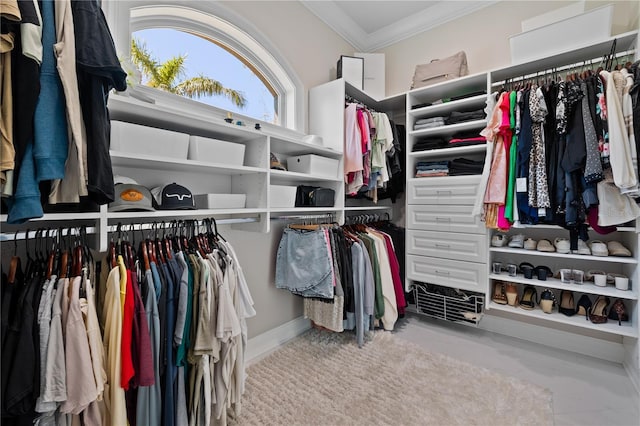 view of spacious closet