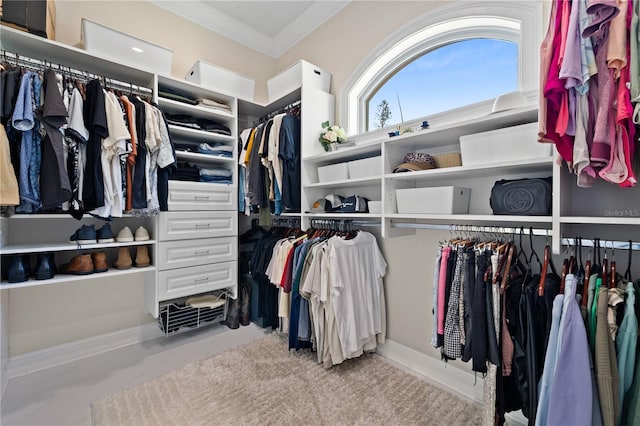 view of spacious closet