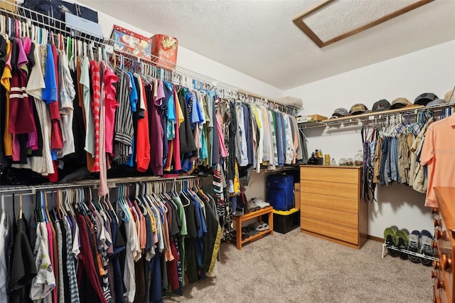 spacious closet with attic access and carpet flooring