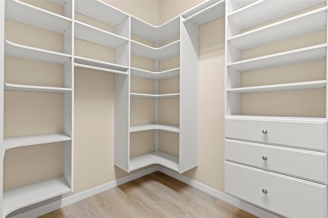 spacious closet featuring wood finished floors