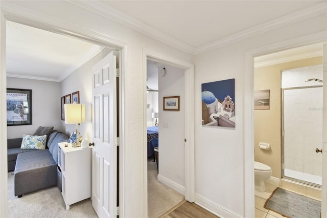 corridor featuring baseboards and ornamental molding