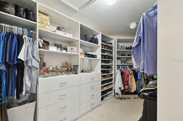 view of walk in closet