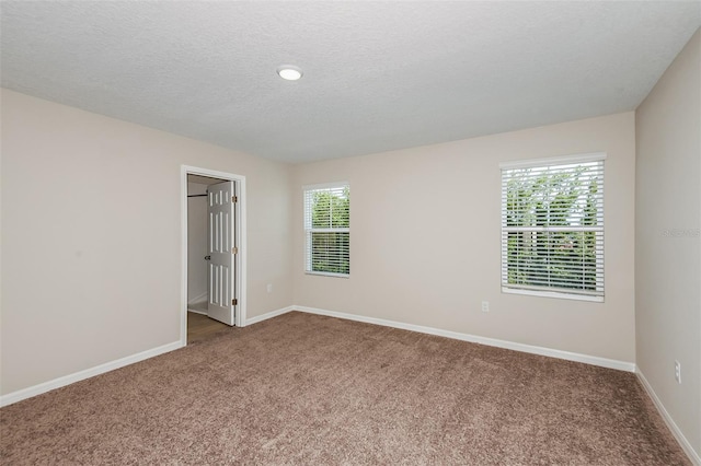 empty room featuring a wealth of natural light, baseboards, a textured ceiling, and carpet