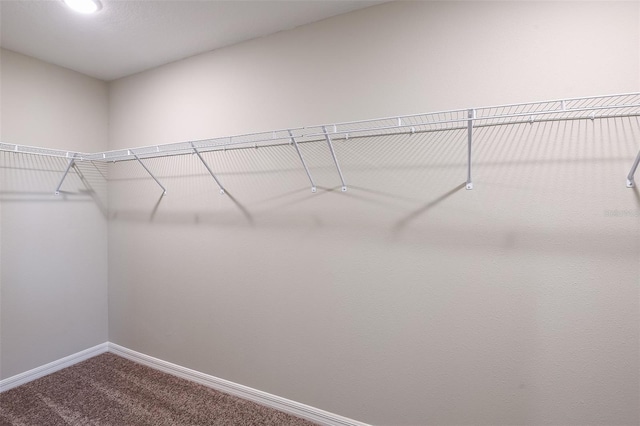 spacious closet featuring dark carpet