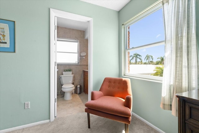 living area featuring baseboards and carpet