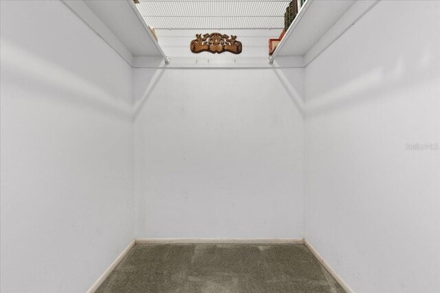 walk in closet featuring carpet flooring