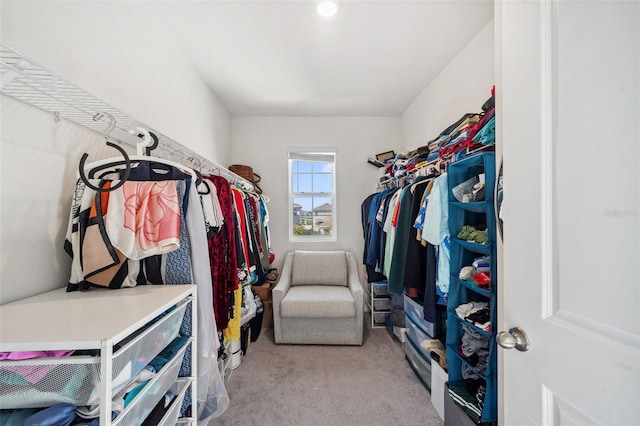 spacious closet with carpet