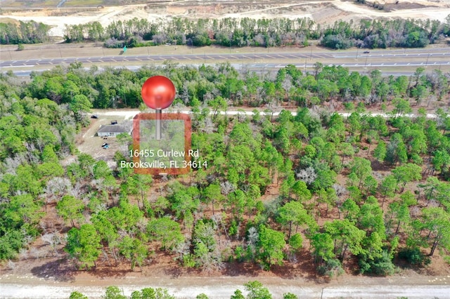 16455 Curlew Rd, Brooksville FL, 34614 land for sale