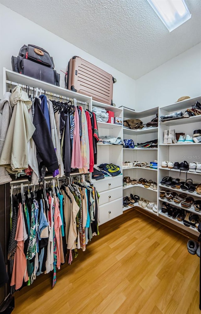 walk in closet featuring wood finished floors