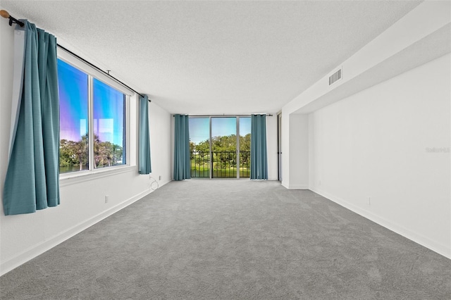 carpeted spare room with visible vents, a textured ceiling, baseboards, and expansive windows