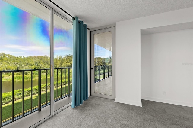 interior space featuring baseboards, a textured ceiling, and carpet