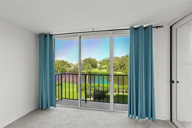 spare room featuring plenty of natural light, a textured ceiling, carpet, and a water view