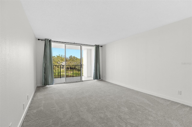 spare room featuring a textured ceiling, baseboards, carpet floors, and expansive windows