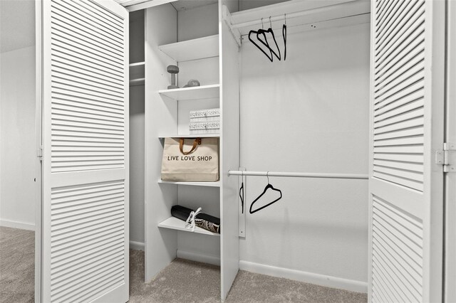 view of closet