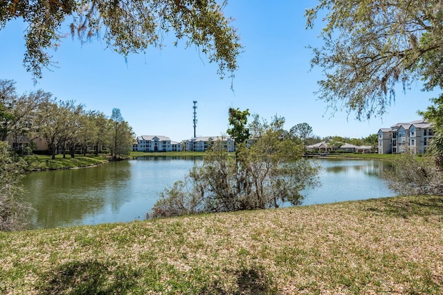 water view with a residential view