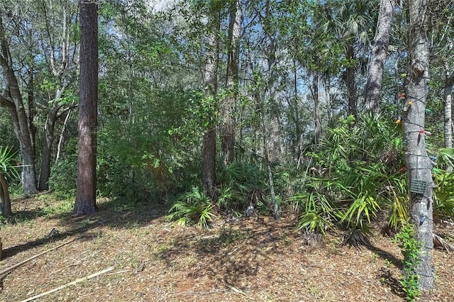 view of local wilderness featuring a view of trees