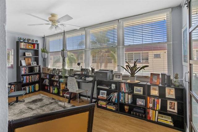 office area featuring a ceiling fan and wood finished floors