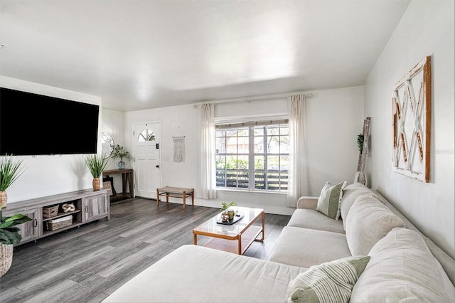 living room with wood finished floors