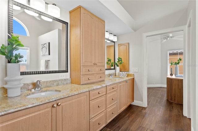 bathroom with double vanity, plenty of natural light, wood finished floors, and a sink