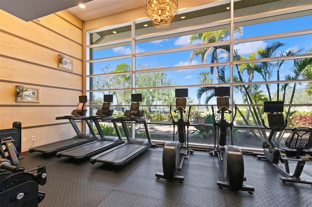 545 Bahia Beach Blvd, Ruskin, FL 33570 - gym featuring wooden walls and floor to ceiling windows