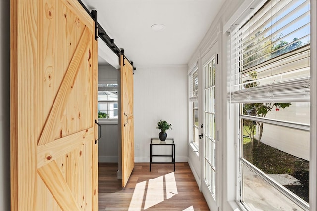 doorway with a barn door and wood finished floors