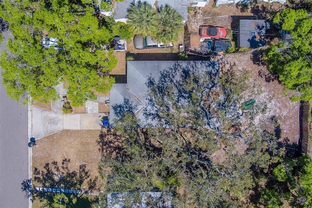2340 Kingston St S, Saint Petersburg, FL 33711 - photo 56