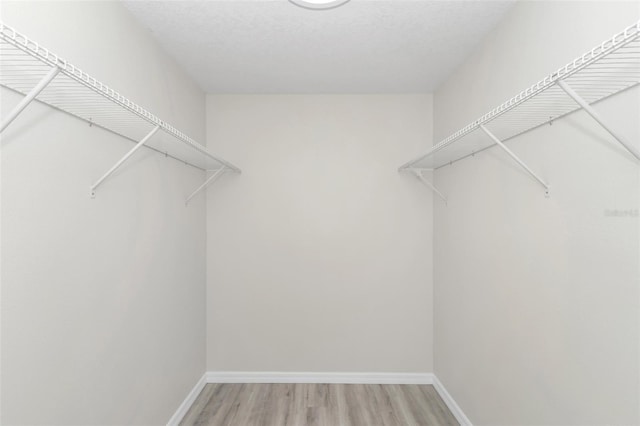 spacious closet featuring light wood finished floors