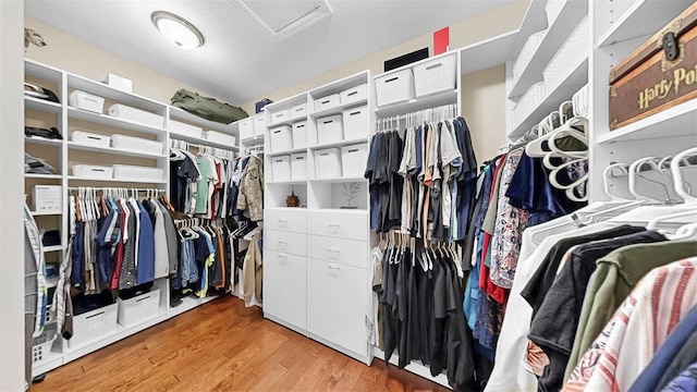 spacious closet featuring attic access and light wood finished floors