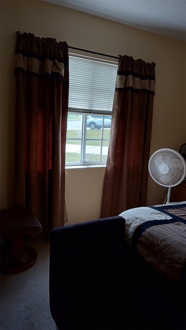 bedroom with carpet floors