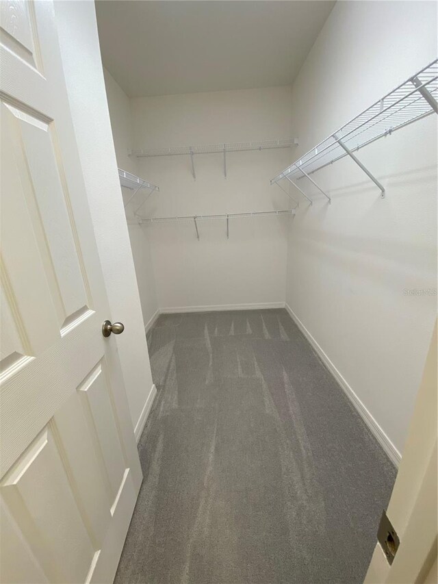 spacious closet with dark colored carpet