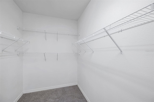 5728 Skytop Dr, Lithia, FL 33547 - spacious closet with carpet floors