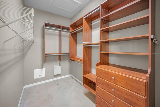 walk in closet with attic access and carpet flooring