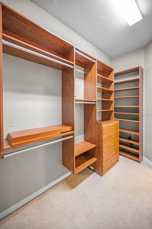 spacious closet with carpet