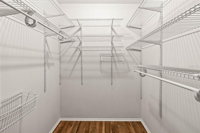 spacious closet featuring wood finished floors