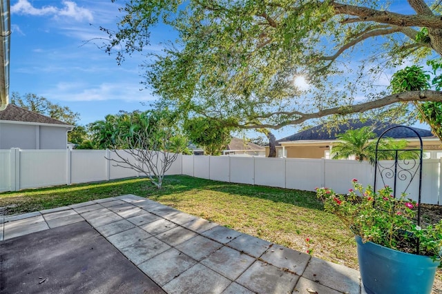 view of yard featuring a fenced backyard and a patio