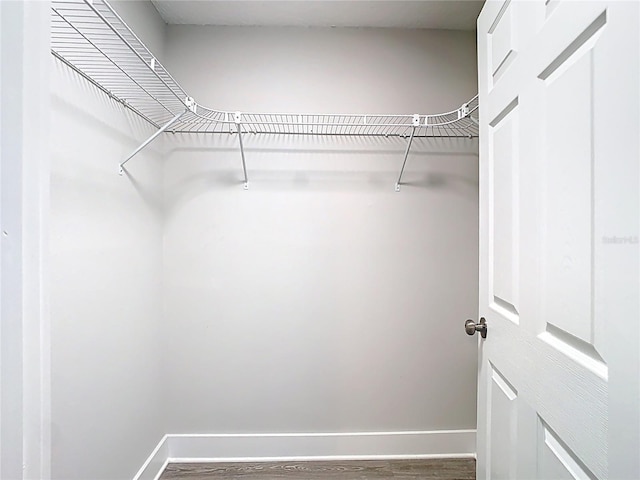 walk in closet with wood finished floors