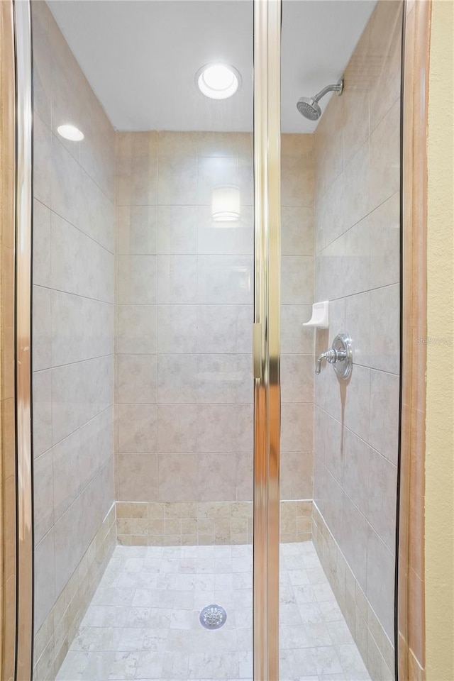 bathroom with a shower stall