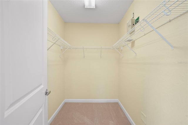 spacious closet featuring carpet floors