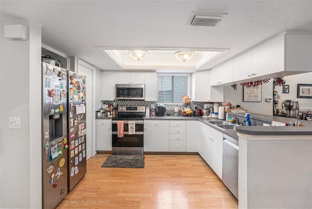 kitchen featuring light wood-type flooring, visible vents, a sink, a tray ceiling, and stainless steel appliances