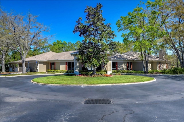 ranch-style home with stucco siding and a front lawn