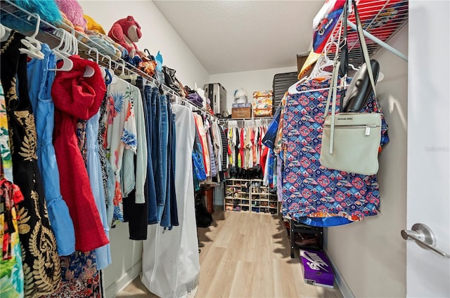 walk in closet featuring wood finished floors