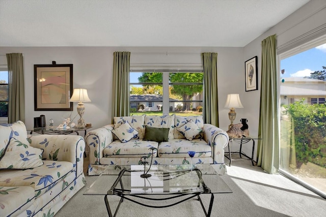 living area featuring carpet and a textured ceiling