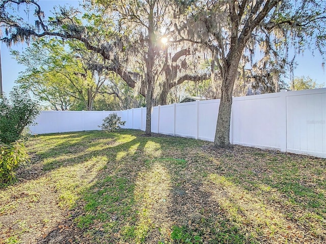 view of yard featuring a fenced backyard