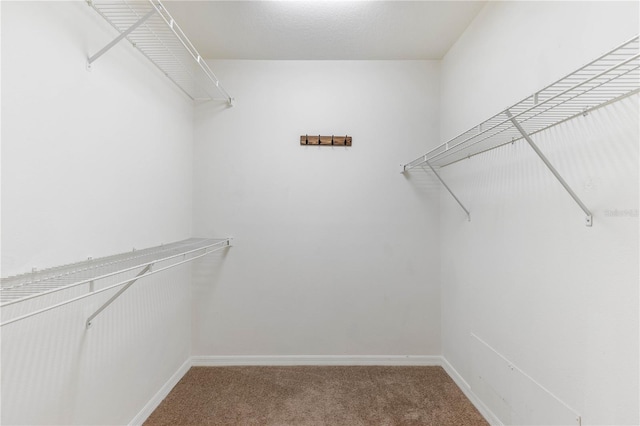 spacious closet featuring carpet floors