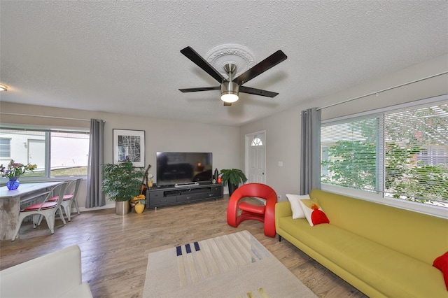 living area with a ceiling fan, wood finished floors, and a textured ceiling