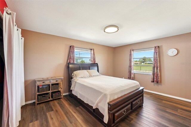 1021 Augusta Dr, Sun City Center, FL 33573 - bedroom featuring baseboards, multiple windows, and dark wood-style floors