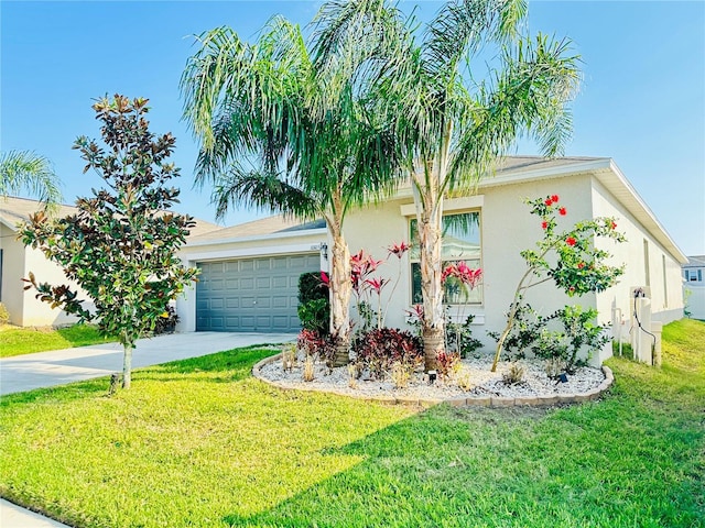 ranch-style home with stucco siding, driveway, an attached garage, and a front yard