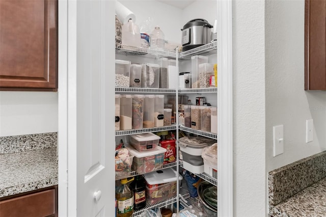 10105 Paradise Fish Dr, Riverview, FL 33578 - view of pantry