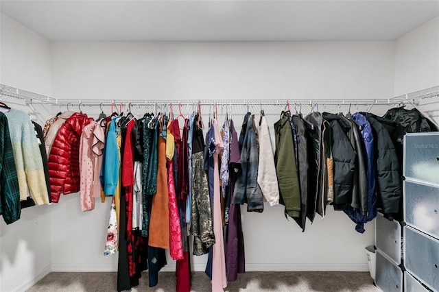 10105 Paradise Fish Dr, Riverview, FL 33578 - walk in closet with carpet