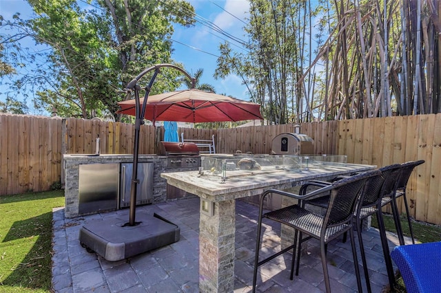 view of patio featuring a fenced backyard, area for grilling, an outdoor kitchen, and outdoor wet bar